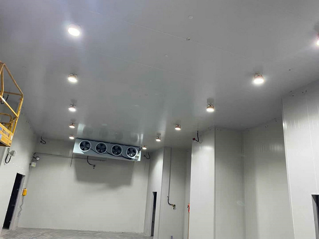 建個存放10噸貨物的冷庫大概需要多少錢？